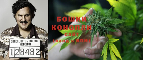 Альфа ПВП Белокуриха