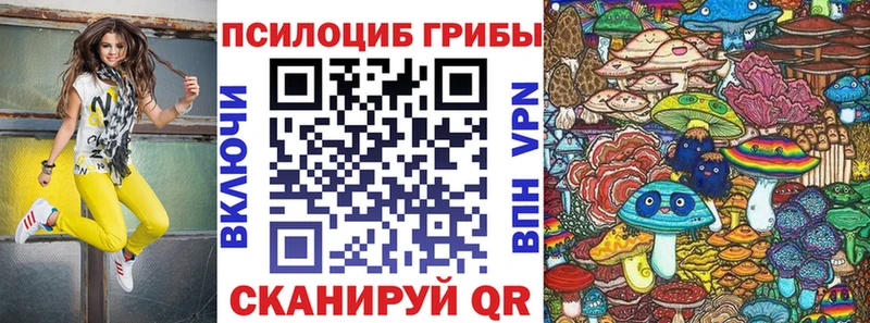 Псилоцибиновые грибы Psilocybine cubensis  как найти закладки  Армавир 